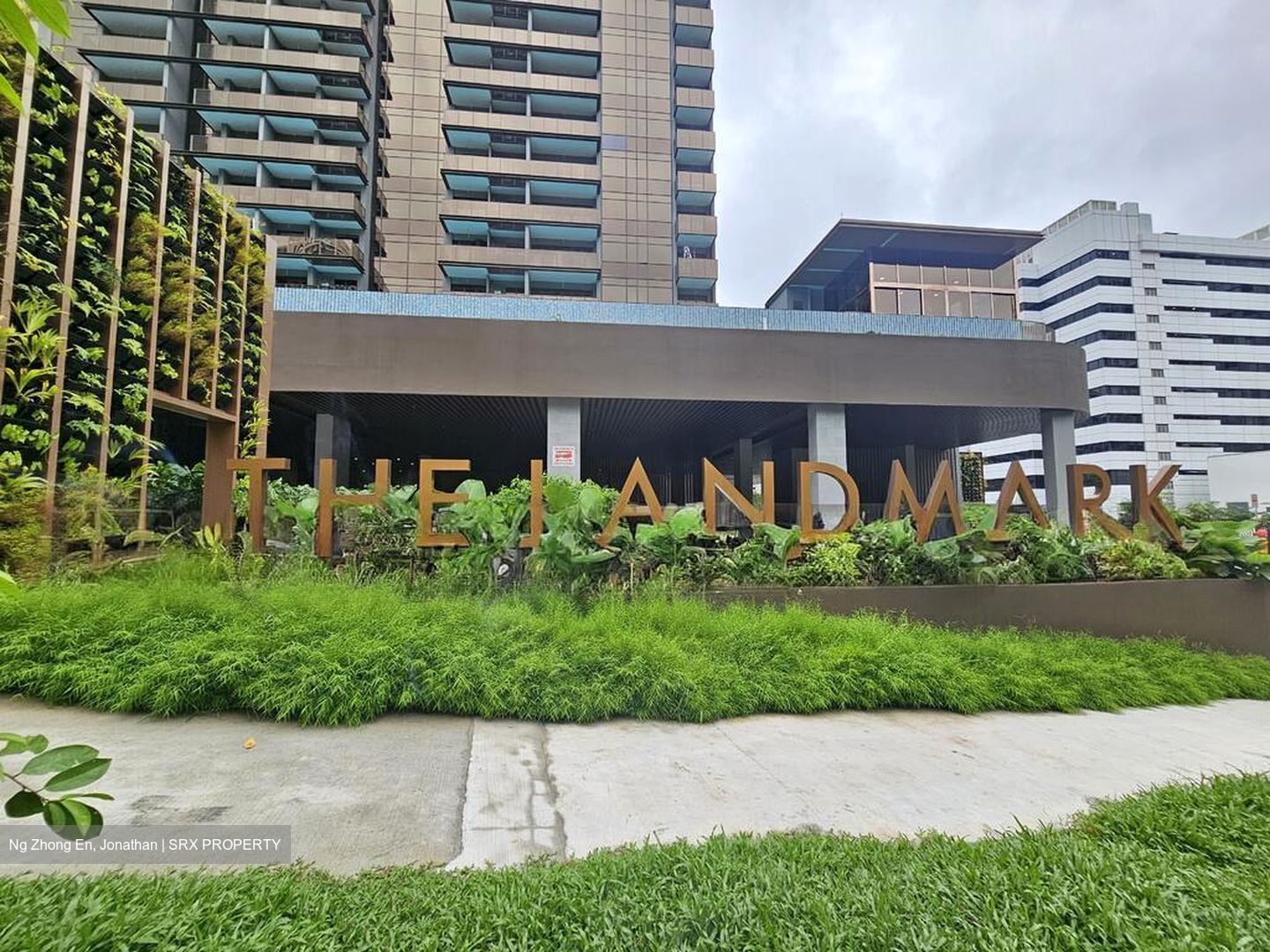 The Landmark (D3), Condominium #511098991